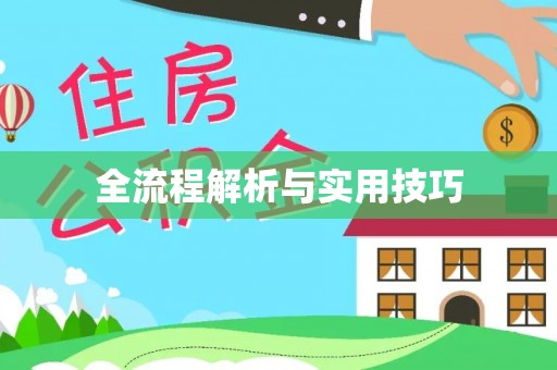 汾阳全流程解析与实用技巧
