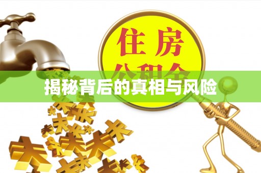 汾阳揭秘背后的真相与风险