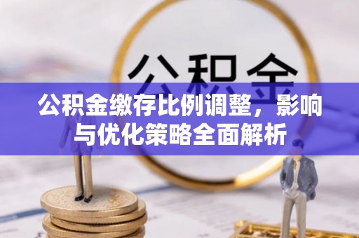 汾阳公积金缴存比例调整，影响与优化策略全面解析