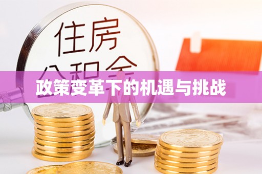 汾阳政策变革下的机遇与挑战