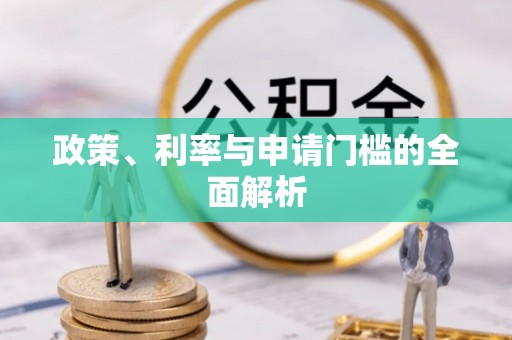 汾阳政策、利率与申请门槛的全面解析