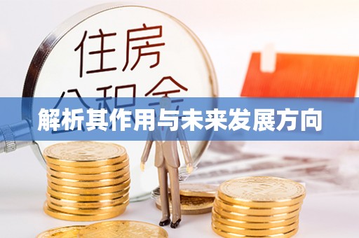 汾阳解析其作用与未来发展方向